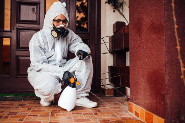 Reliable Bed Bug Control contractor in Midwest City, OK by Nex Pest Control