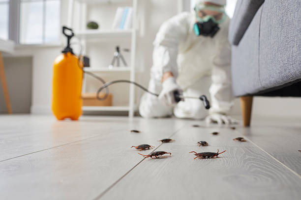 Trusted Termite Control service in Midwest City, OK - Nex Pest Control